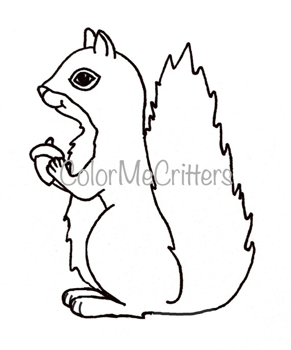 Printable hand drawn squirrel kids coloring page