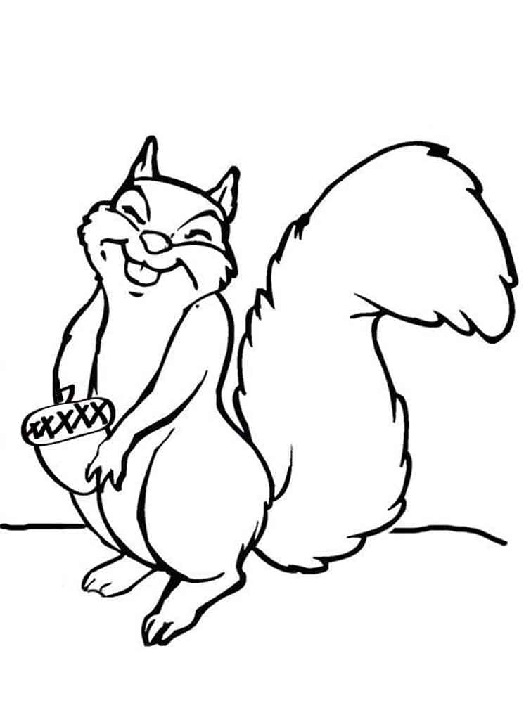 Squirrel is holding acorn coloring page