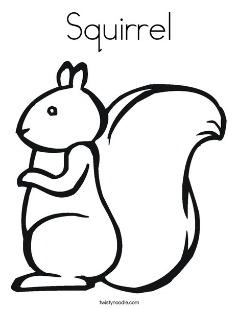 Squirrel coloring page