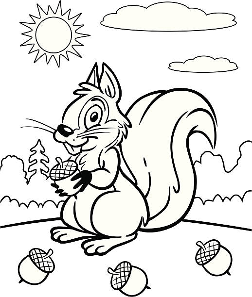 Coloring book of squirrel stock illustration