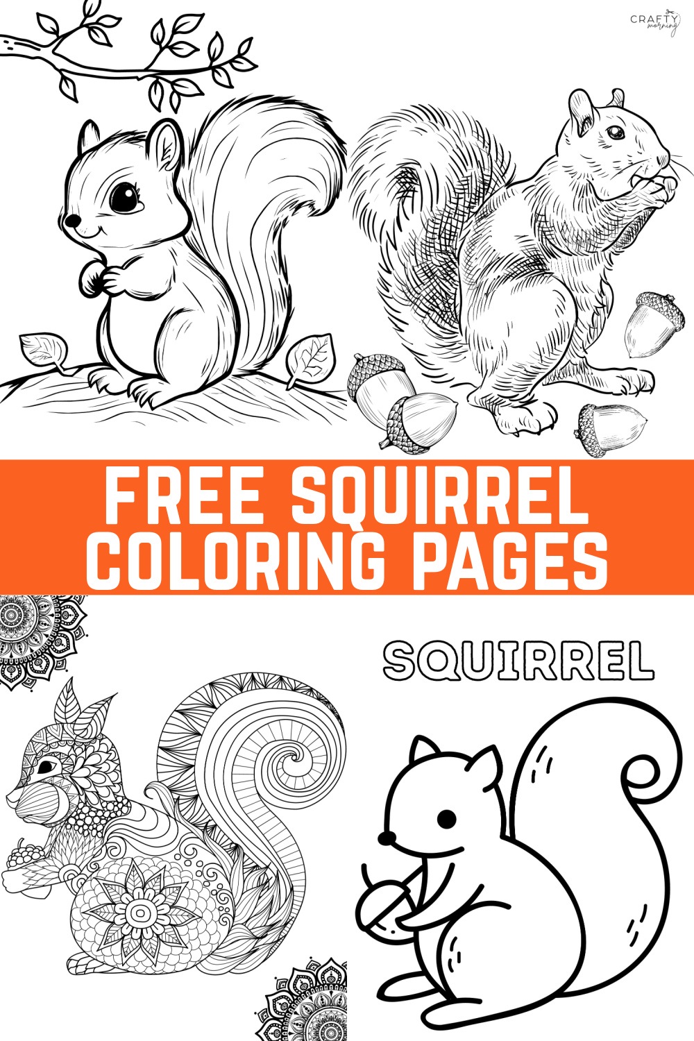 Squirrel coloring pages to print