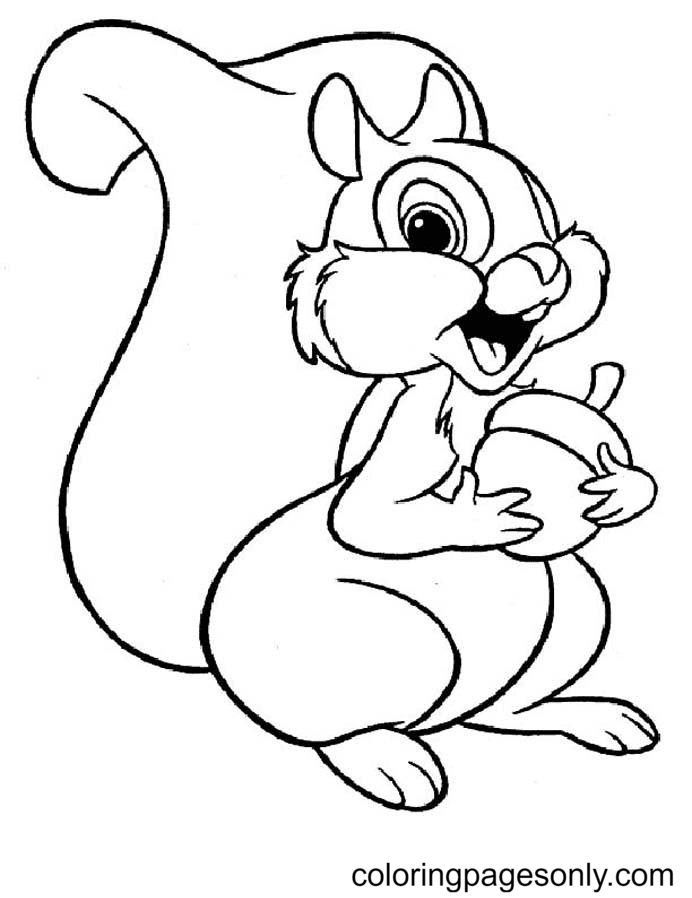 Squirrel coloring pages printable for free download