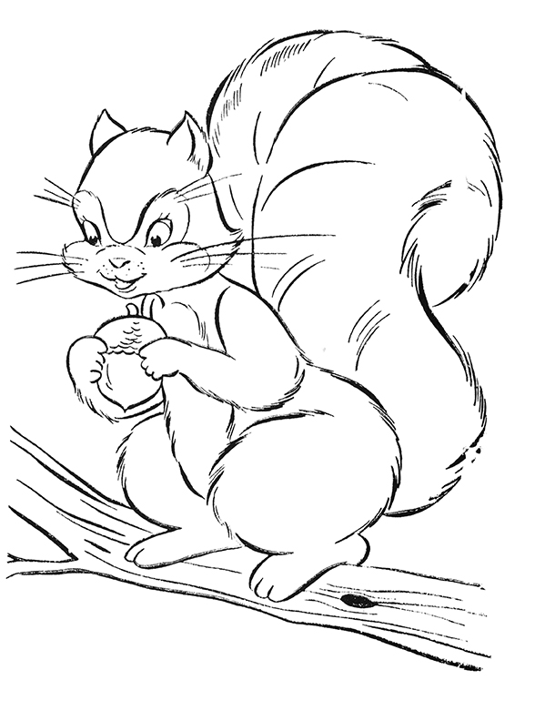 Squirrel coloring page