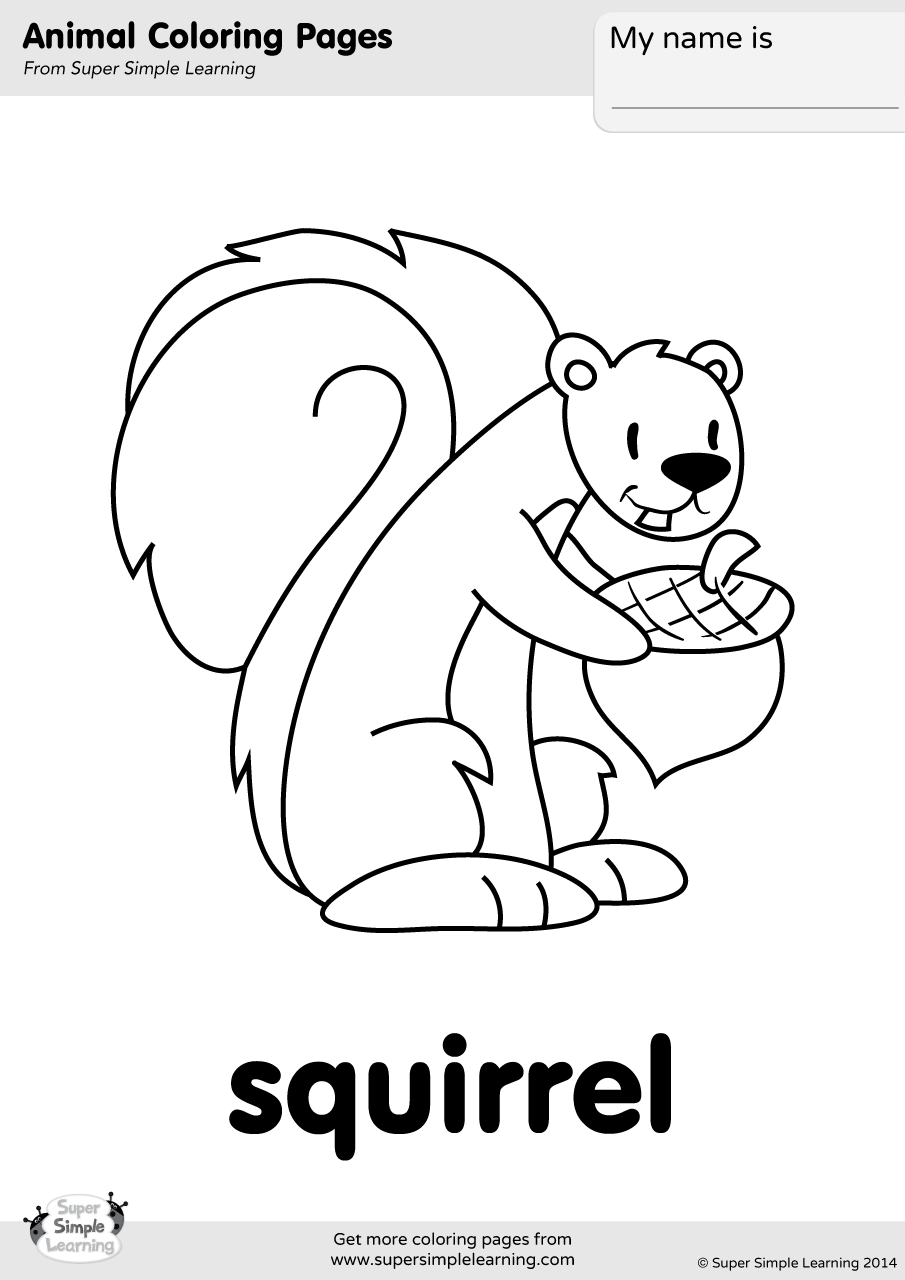 Squirrel coloring page