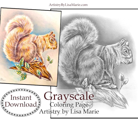 Adult coloring page squirrel grayscale coloring pages instant download coloring best selling printable coloring page