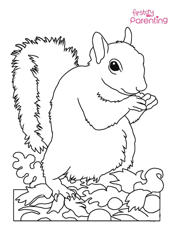 Easy printable squirrel coloring pages for kids