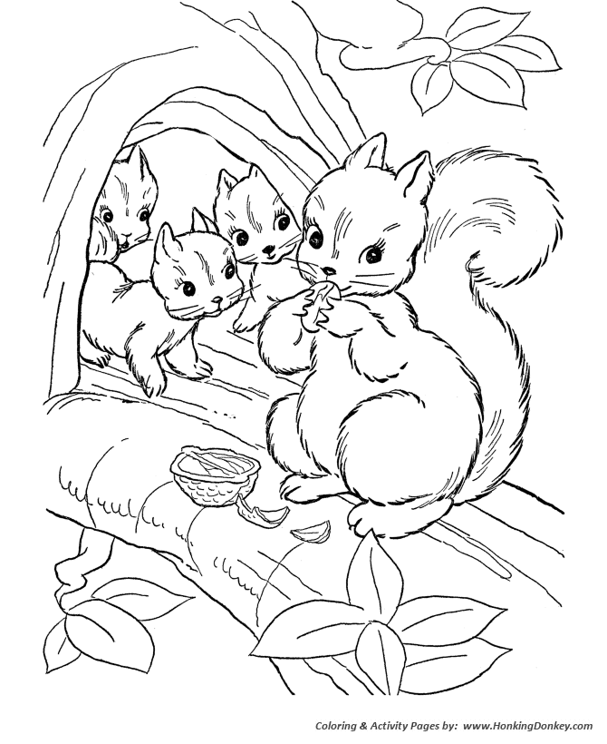 Wild animal coloring pages squirrel family coloring page and kids activity sheet