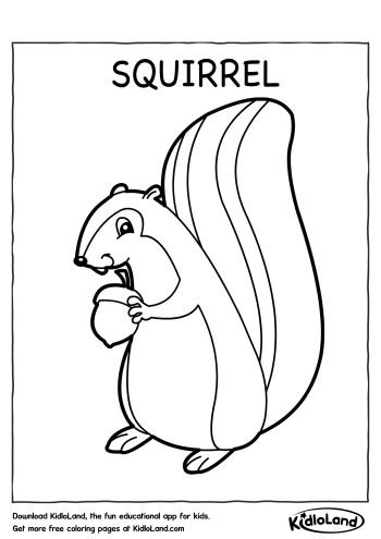 Download free squirrel coloring page and educational activity worksheets for kids