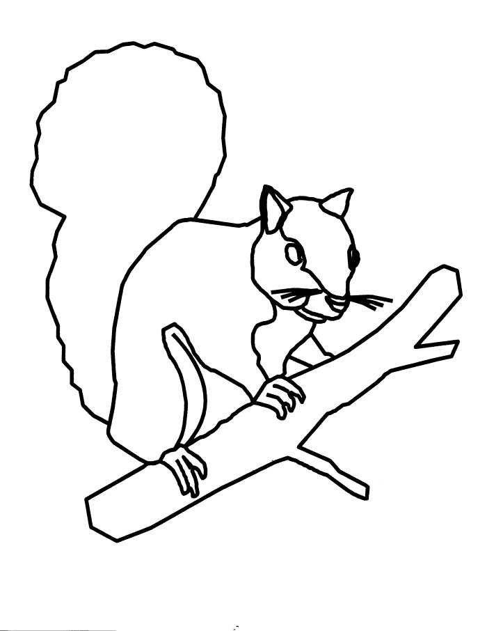 Free printable squirrel coloring pages for kids