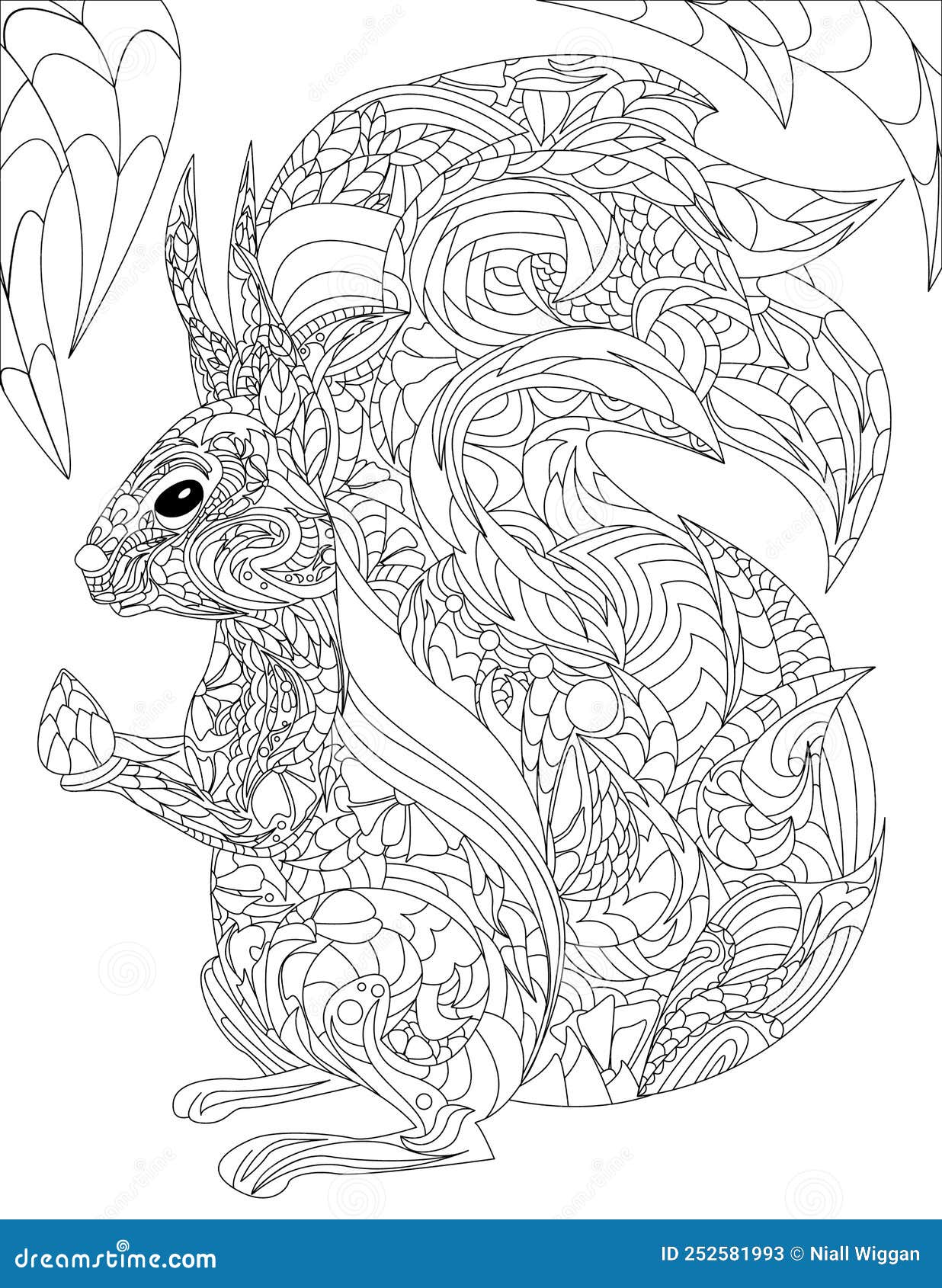 Coloring book page with cute detailed squirrel holding hazelnut sheet to be colord with little animal having nut in stock illustration