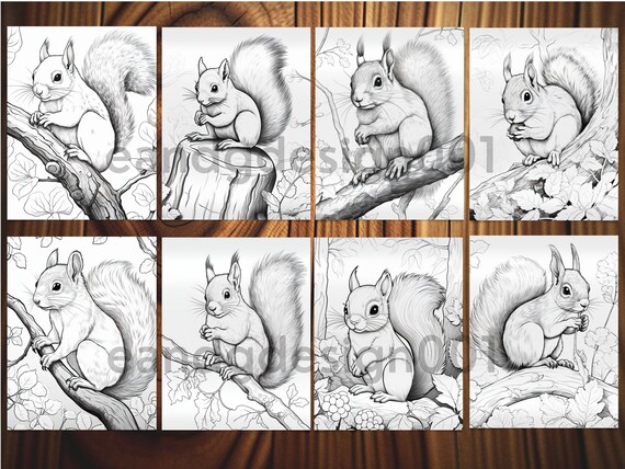 Squirrel coloring pages printable cute squirrel coloring page squirrel coloring sheet grayscale coloring book printable pdf instant download