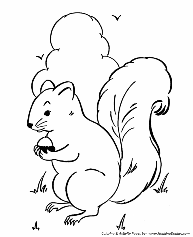 Wild animal coloring pages squirrels gather nuts coloring page and kids activity sheet