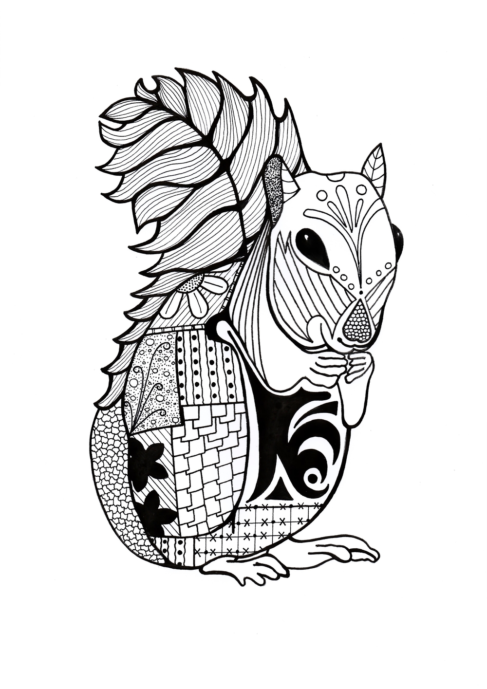 Intricate squirrel adult coloring page