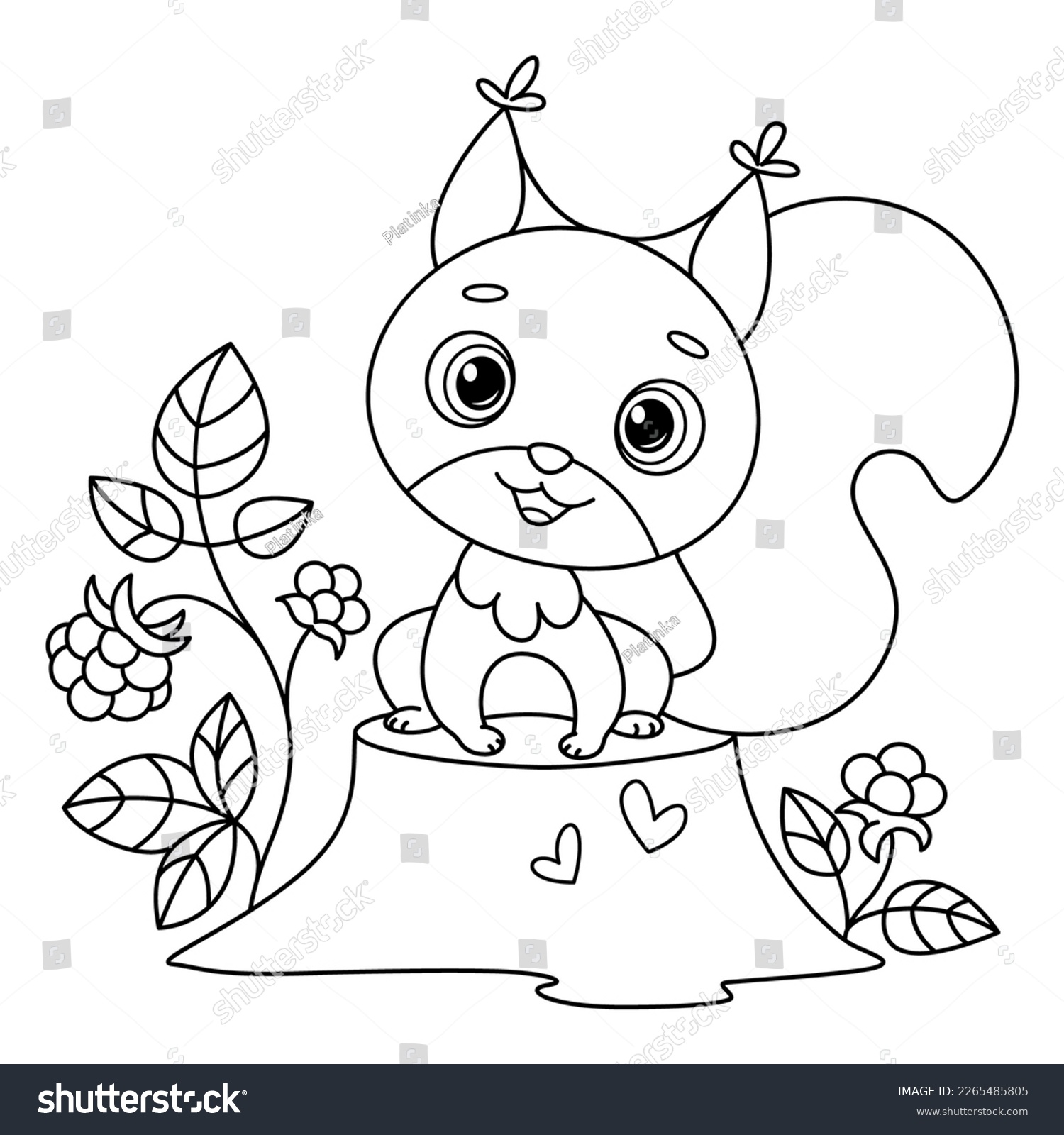 Squirrel coloring pages images stock photos d objects vectors