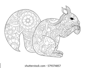 Adult coloring squirrel images stock photos d objects vectors