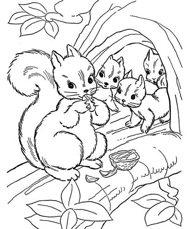 Coloring pages squirrel and babies coloring pages