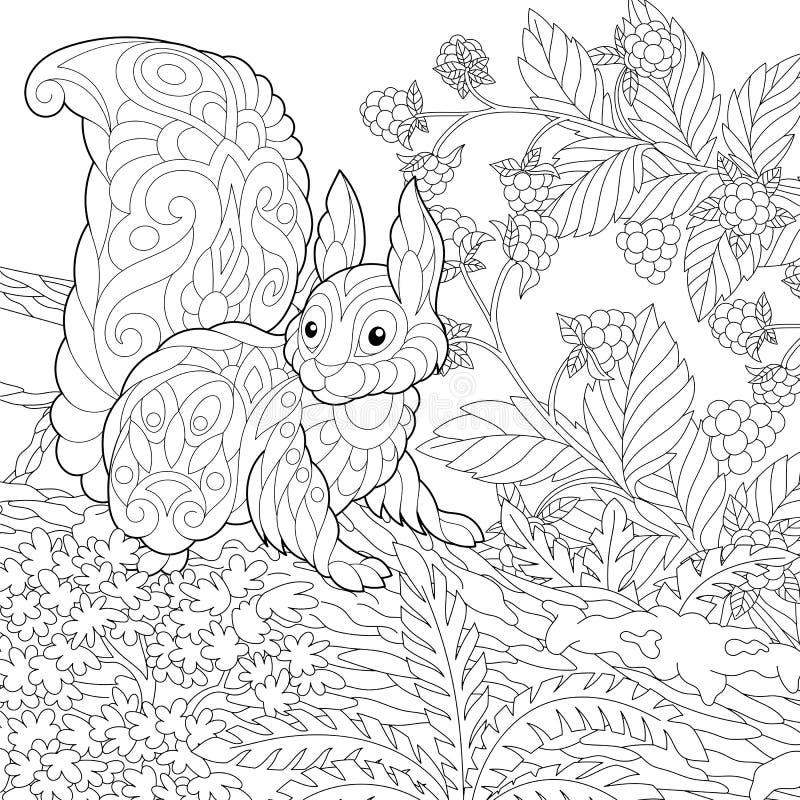 Coloring page with cute squirrel in the forest stock vector