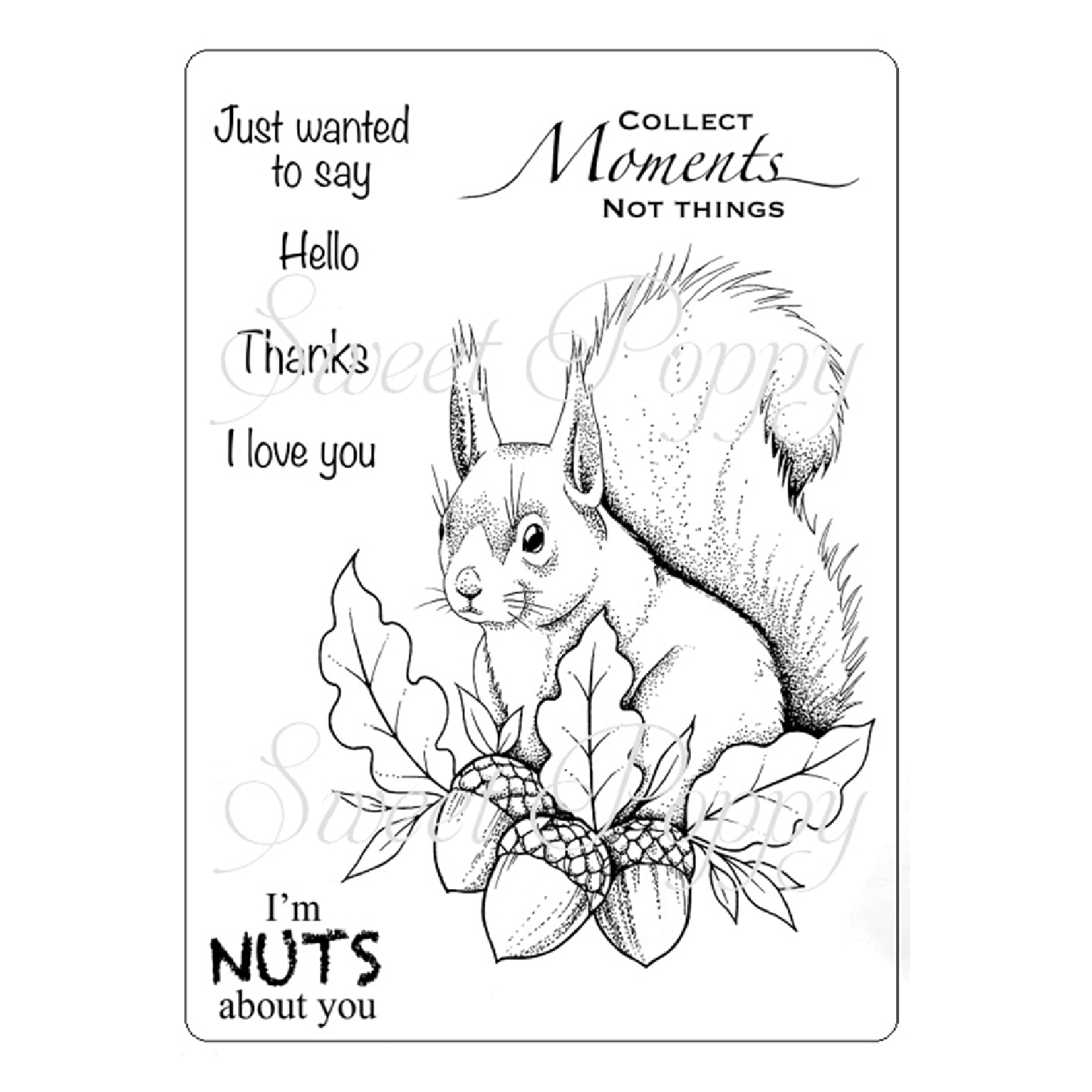 Sweet poppy stencil a stamp squirrel