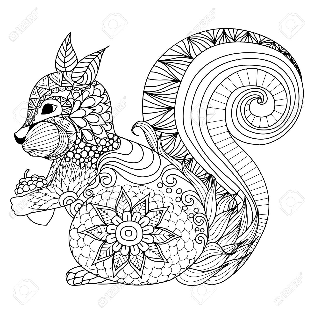 Hand drawn squirrel zentangle style for coloring booktattoot shirt designlogo royalty free svg cliparts vectors and stock illustration image