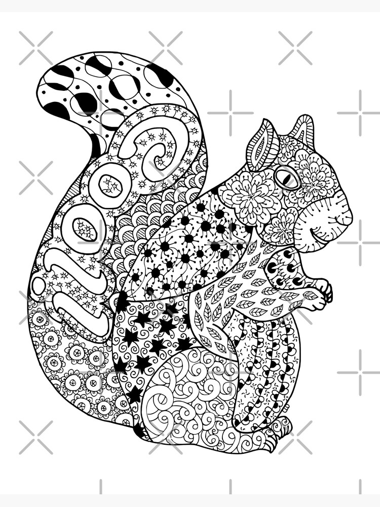 Squirrel doodle hand drawn stylized doodle of a squirrel art board print for sale by coloringiship