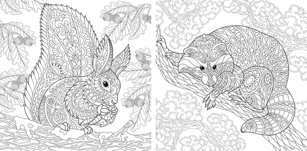 Adult coloring squirrel images stock photos d objects vectors