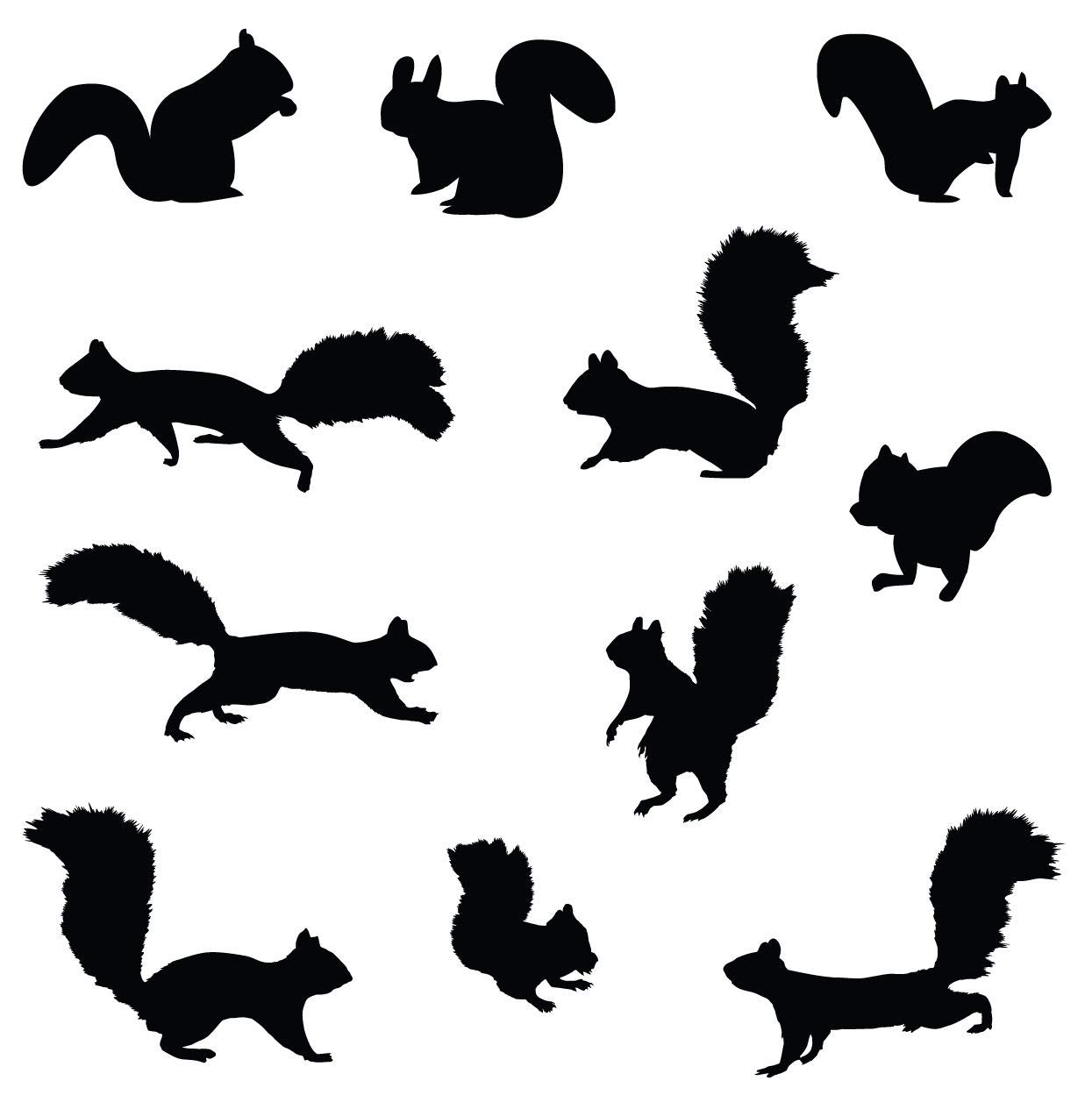 Innovative stencils squirrel wall decal nursery sticker set add to tree wall decals decor for kids rooms squirrel decals included matte black baby