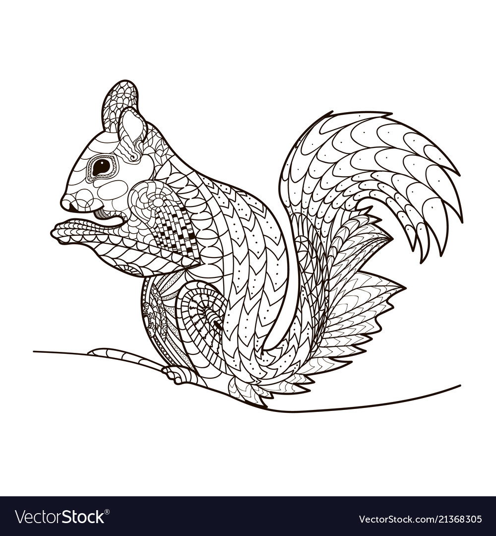 Squirrel in a line coloring book pattern vector image