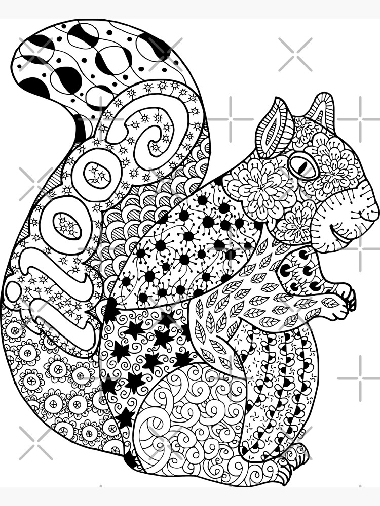 Squirrel doodle hand drawn stylized doodle of a squirrel greeting card for sale by coloringiship