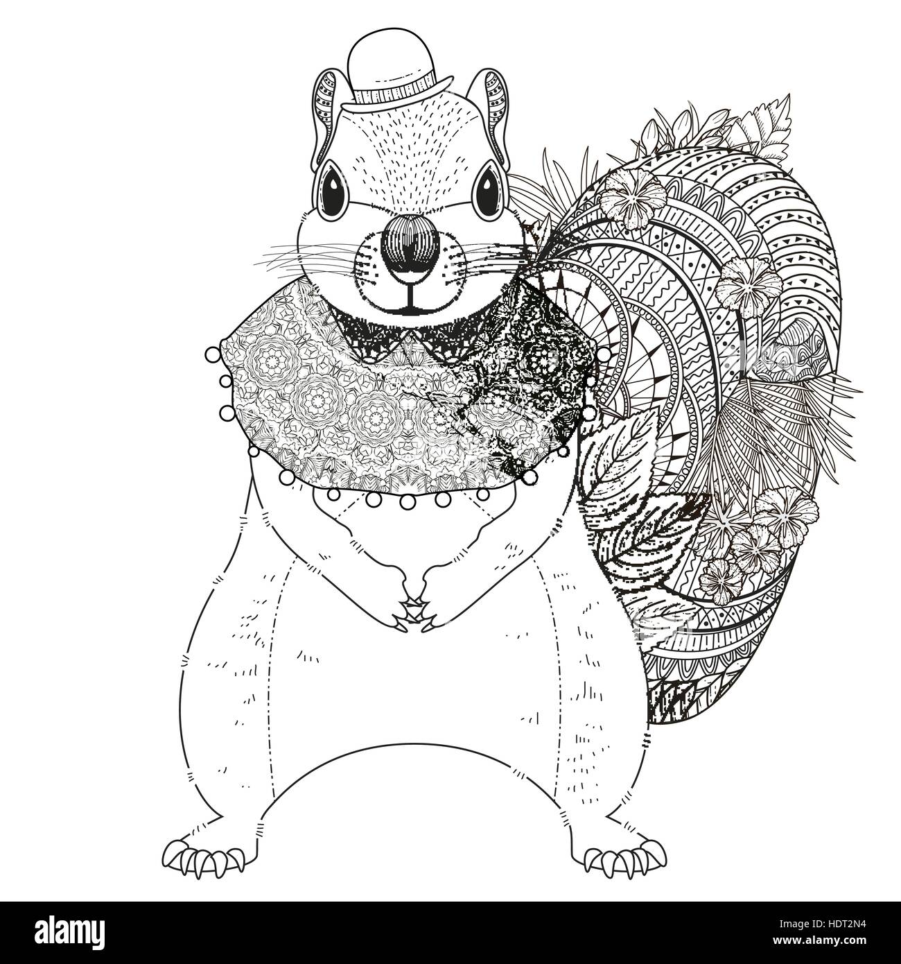 Squirrel vector line drawing hi