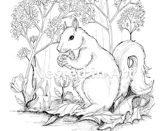 Adult coloring page squirrel digital download