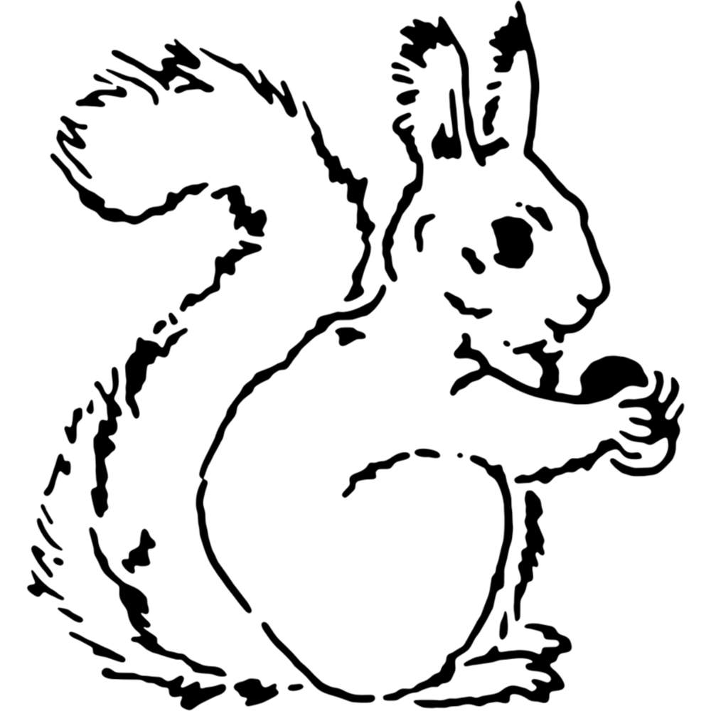 Squirrel with nut wall stencils templates ws