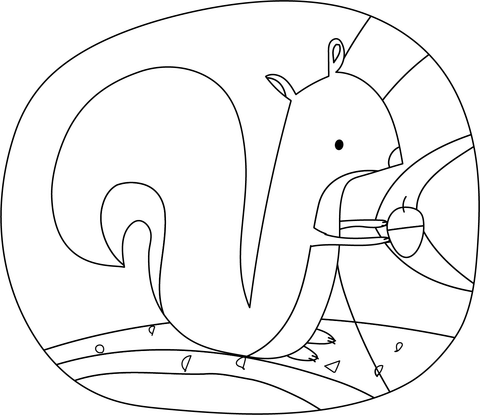 Squirrel with acorn coloring page free printable coloring pages