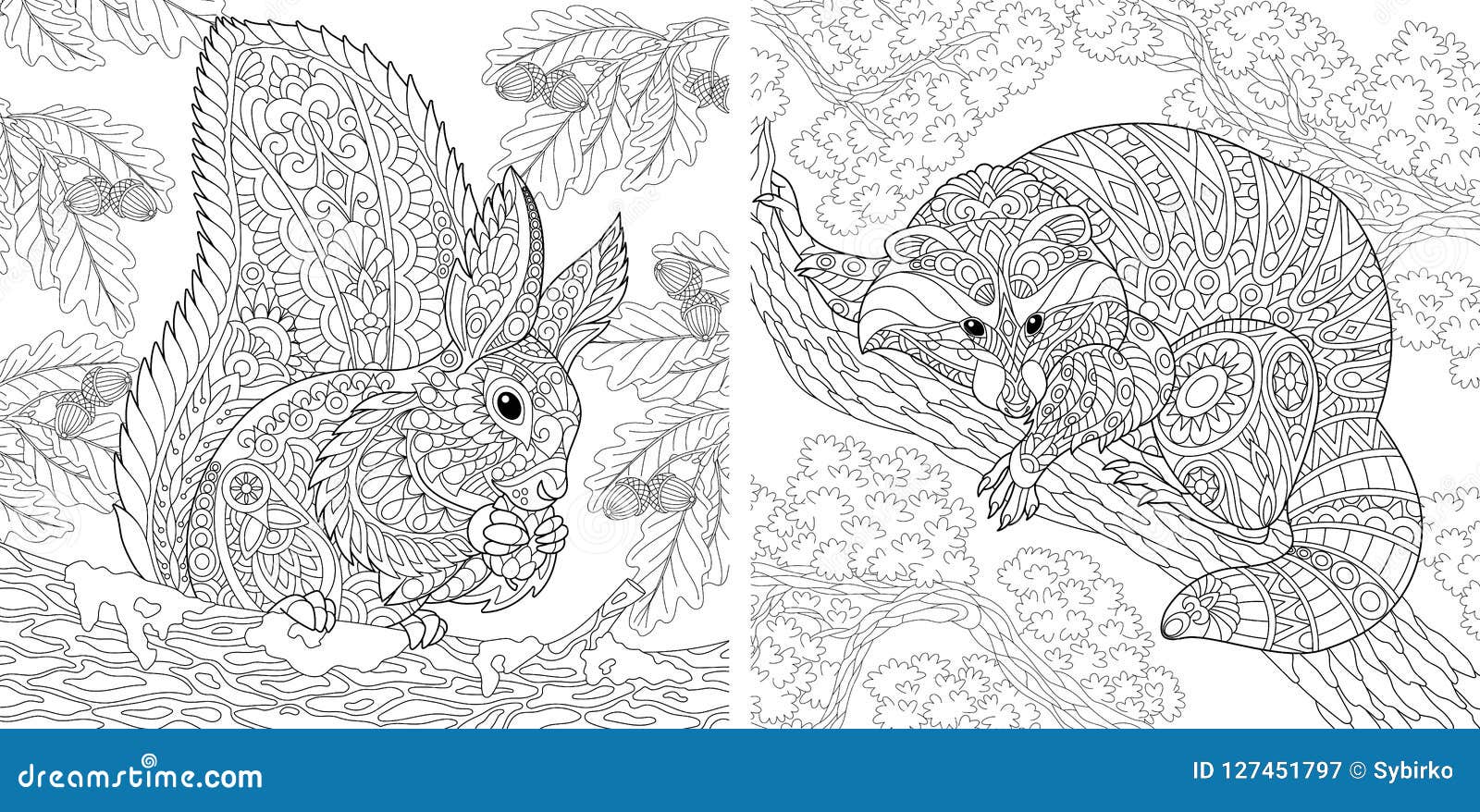 Coloring pages with squirrel and raccoon stock vector