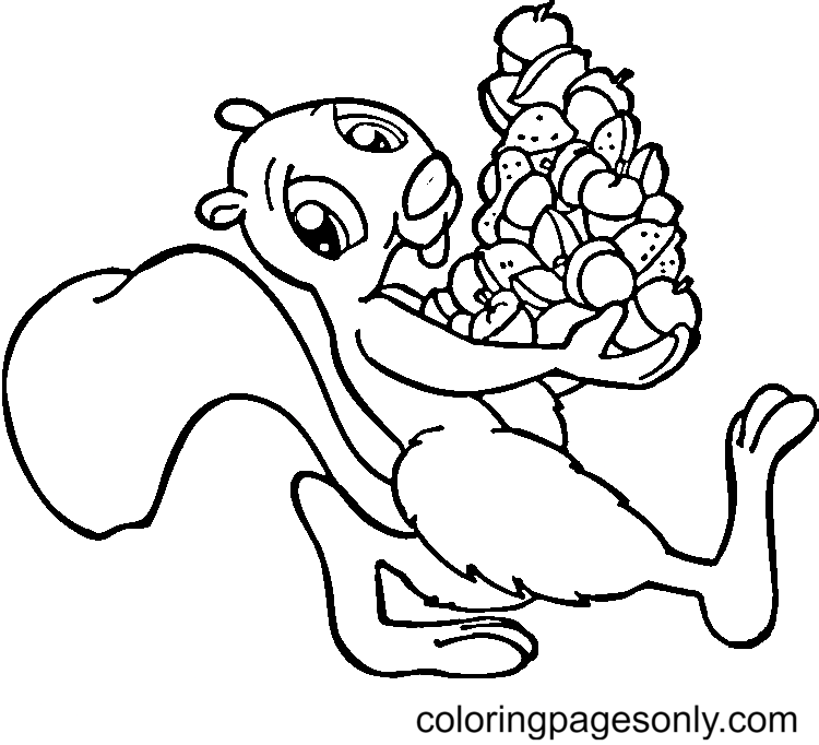 Squirrel coloring pages printable for free download