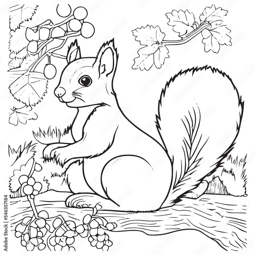 Squirrel outline vector illustration coloring book for children cartoon wild animal in black and white drawing happy mammal in nature fun isolated for coloring page school activity for kids vector