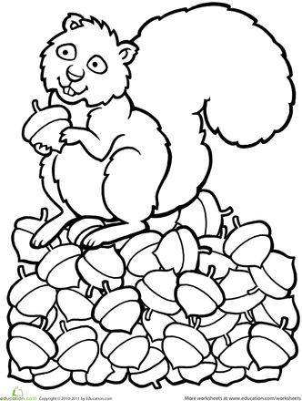 Color the squirrel worksheet education fall coloring pages squirrel coloring page coloring pages