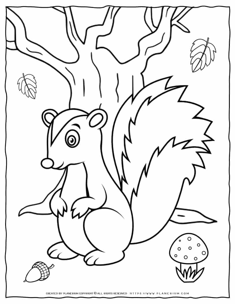 Squirrel coloring page