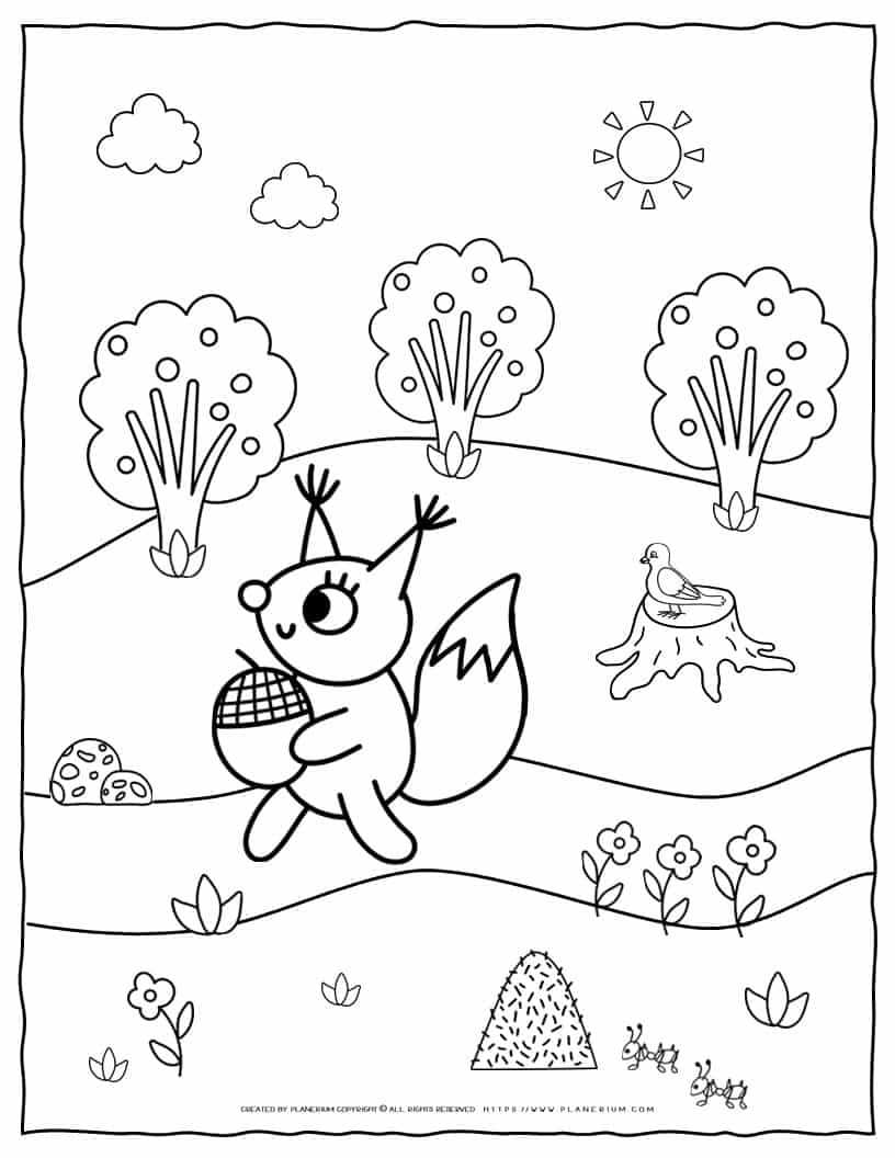 Squirrel coloring page