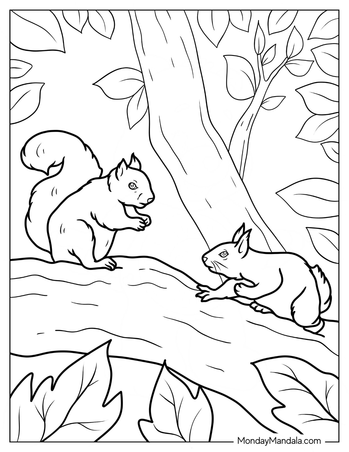 Squirrel coloring pages free pdf printables