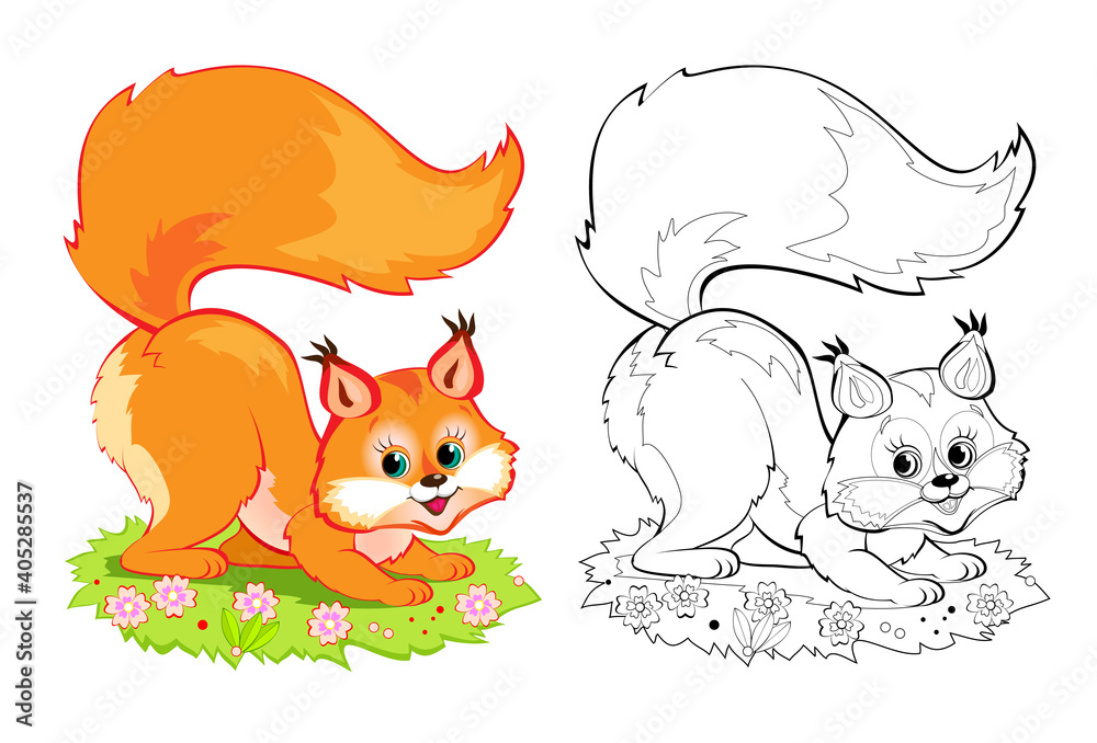 Colorful and black and white page for coloring book illustration of cute little squirrel printable worksheet for children exercise book online education clip