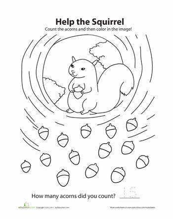 Squirrel count and color worksheet education squirrel squirrel appreciation day squirrel coloring page