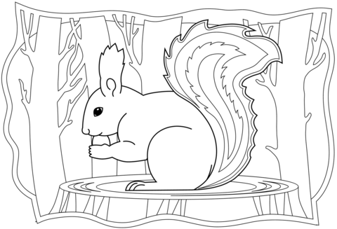 Squirrel coloring page free printable coloring pages