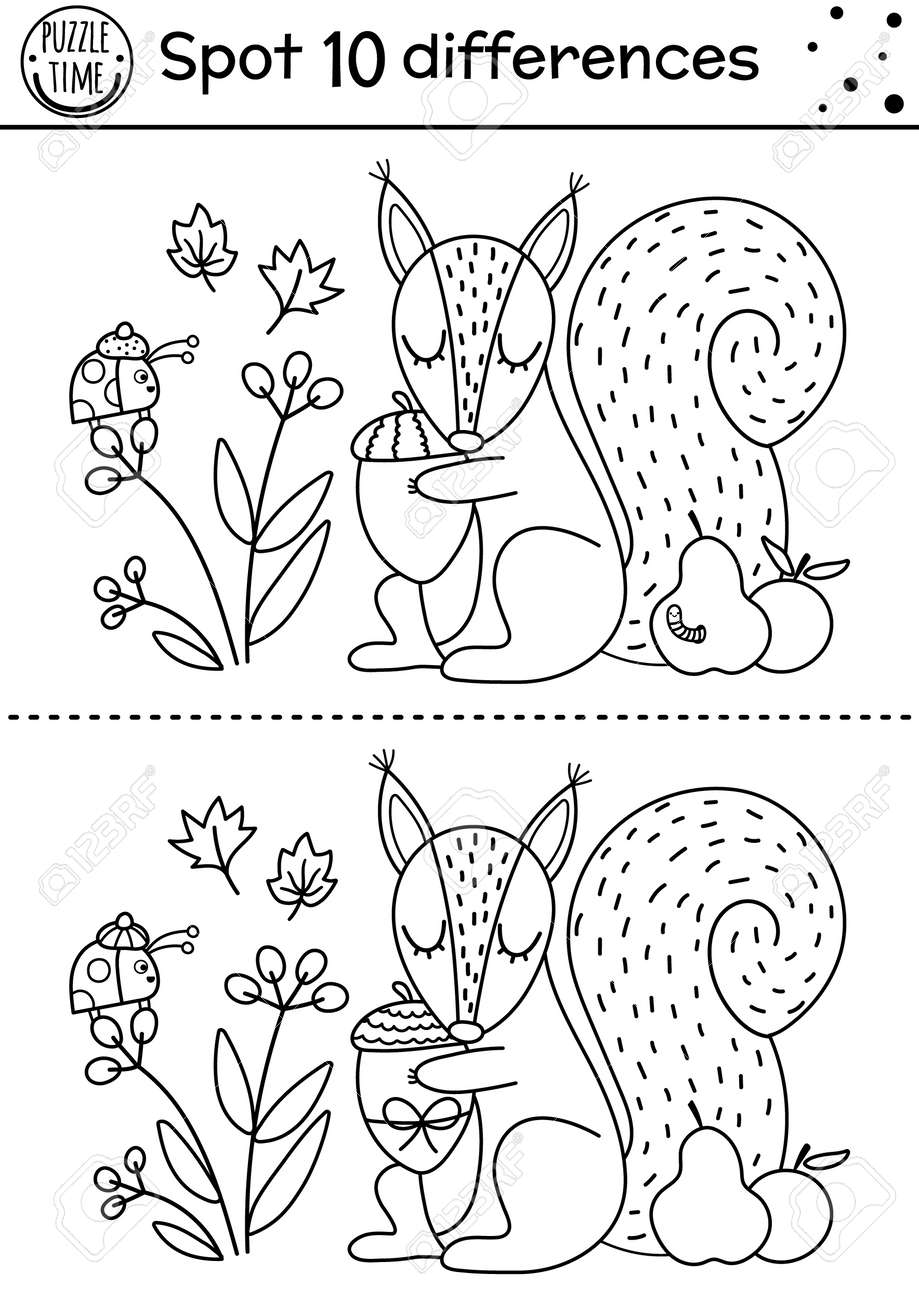 Find differences line game for kids black and white autumn forest educational activity with squirrel and acorn printable worksheet with cute animal woodland puzzle fall preschool coloring page royalty free svg cliparts