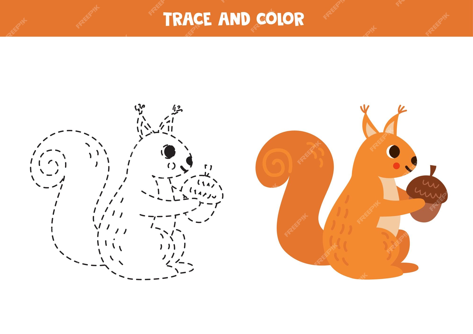 Premium vector trace and color cartoon squirrel worksheet for children