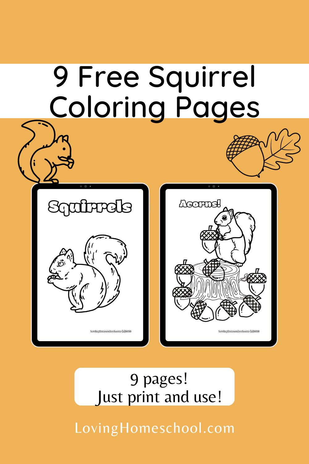 Free squirrel coloring pages