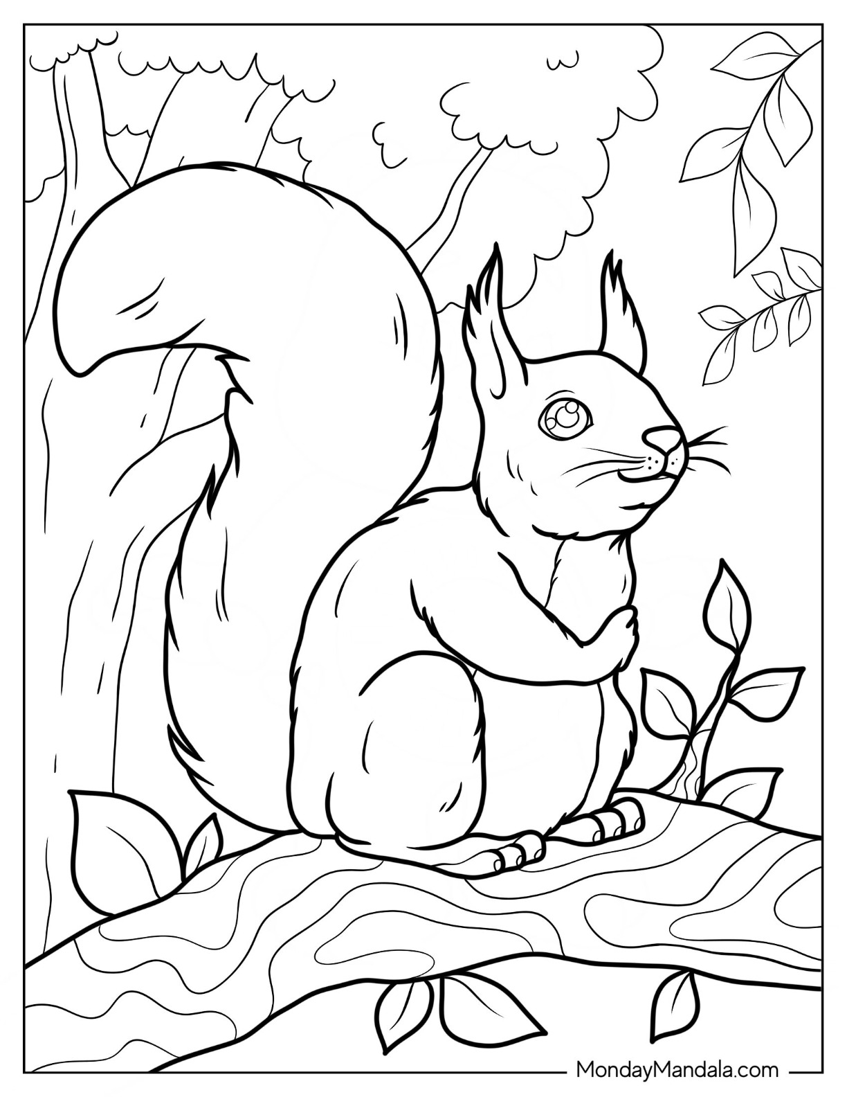 Squirrel coloring pages free pdf printables