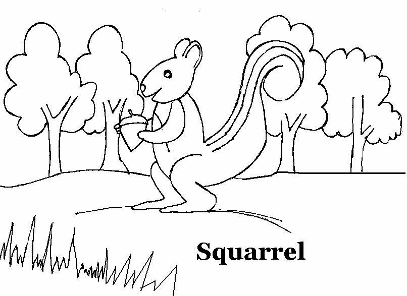 Squirrel coloring printable page for kids