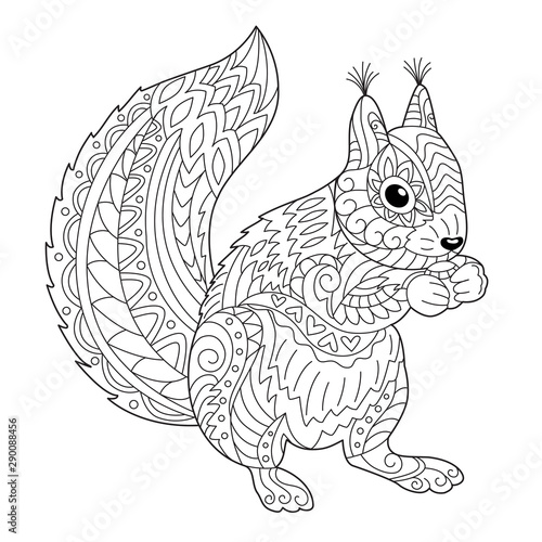 Cute squirrel coloring page for adult and children black and white vector illustration for coloring book design vector