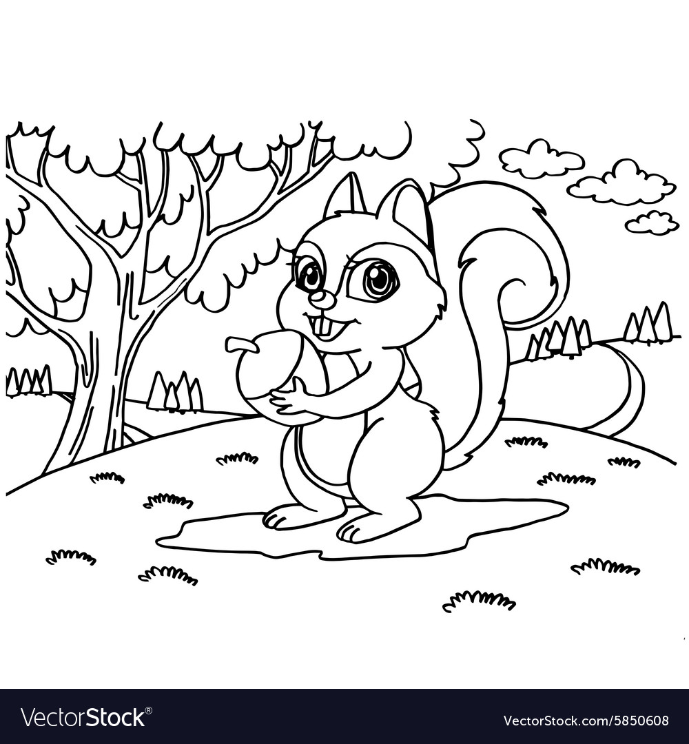 Squirrels coloring pages royalty free vector image