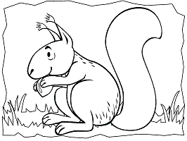 Squirrels coloring pages and printable activities